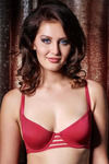 Zivame On The Edge Of Love Wired Bra — thumbnail 5