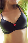 Zivame Padded Wired 3/4th Coverage T-Shirt Bra-Black — thumbnail 2