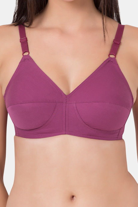 Souminie Single Layered Non-Wired Full Coverage Minimiser - Magenta — image 5
