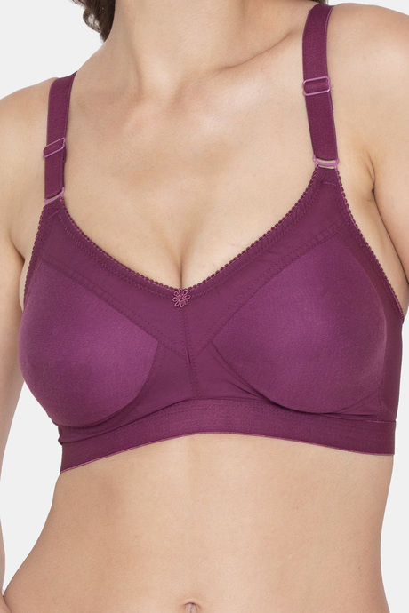 Souminie Double Layered Non-Wired Full Coverage Minimiser - Magenta — image 4
