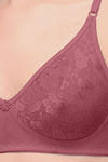Exotica Lingerie Double Layered Non Wired Medium Coverage T-Shirt Bra - Maroon — thumbnail 5