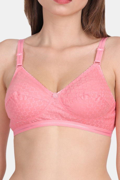 Lily Single Layered Non-Wired 3/4Th Coverage Super Support Bra - Orange — image 4