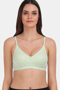Parrot Green