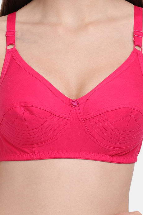 Lily Double Layered Non-Wired 3/4Th Coverage Blouse Bra - Dark Pink — image 4