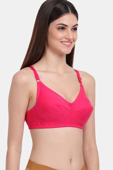 Lily Double Layered Non-Wired 3/4Th Coverage Blouse Bra - Dark Pink — image 5