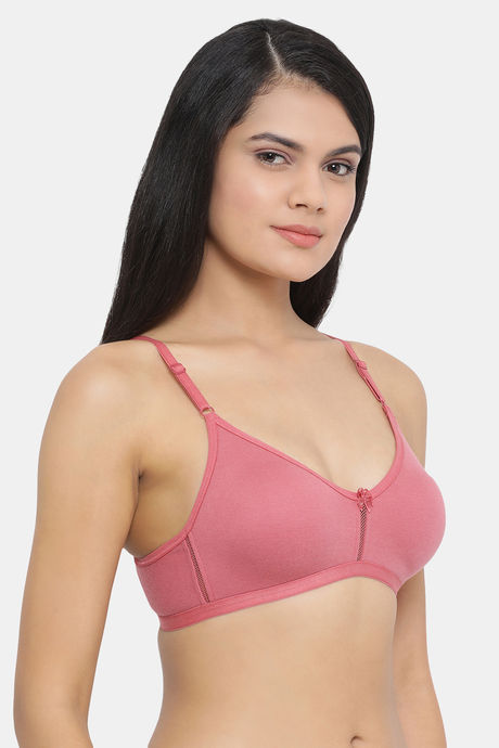 Clovia Single Layered Non Wired Full Coverage T-Shirt Bra - Pink — image 2