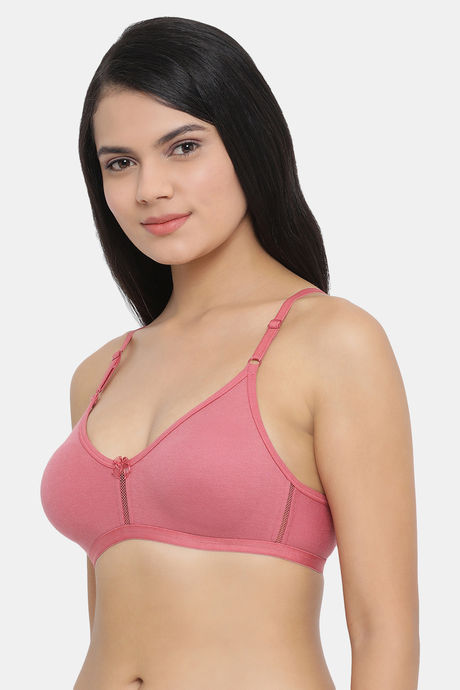 Clovia Single Layered Non Wired Full Coverage T-Shirt Bra - Pink — image 3