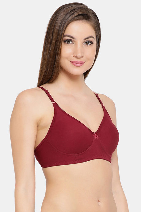 Clovia Double Layered Non Wired Full Coverage T-Shirt Bra - Maroon — image 2