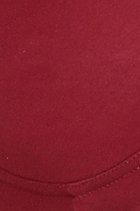 Clovia Double Layered Non Wired Full Coverage T-Shirt Bra - Maroon — image 5