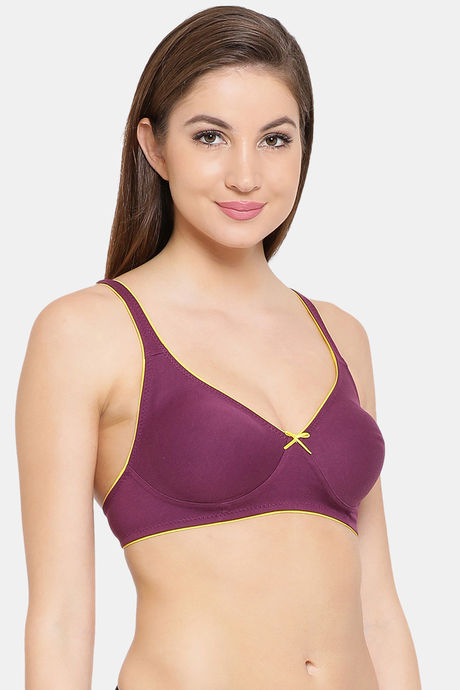 Clovia Double Layered Non Wired Medium Coverage T-Shirt Bra - Purple — image 2