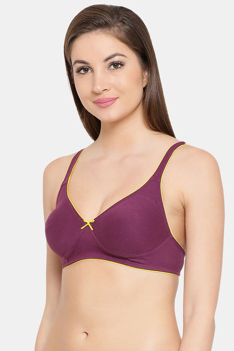 Clovia Double Layered Non Wired Medium Coverage T-Shirt Bra - Purple — image 3