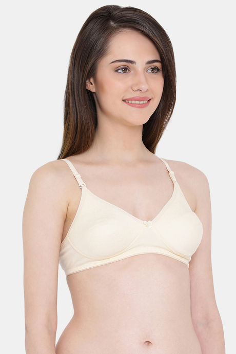 Clovia Padded Non Wired Full Coverage T-Shirt Bra - Beige — image 2