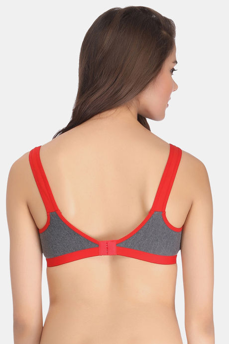Clovia Double Layered Non Wired Medium Coverage Basic Bra - Red — image 4