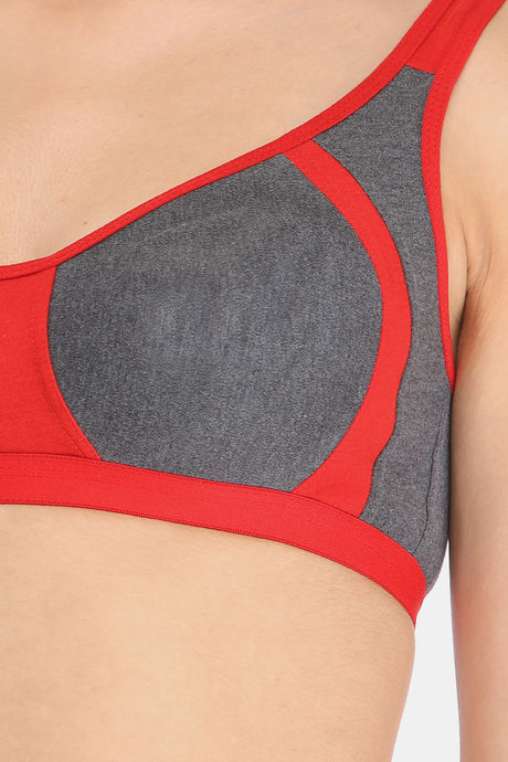 Clovia Double Layered Non Wired Medium Coverage Basic Bra - Red — image 5