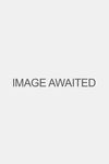 Clovia Clovia Non-Padded Non-Wired Full Figure Bra in White - Cotton - White — thumbnail 1