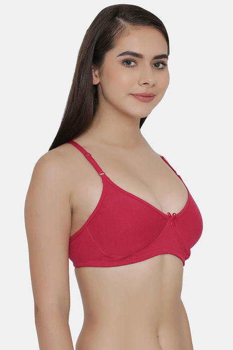 Clovia Single Layered Non Wired Full Coverage T-Shirt Bra - Pink — image 2