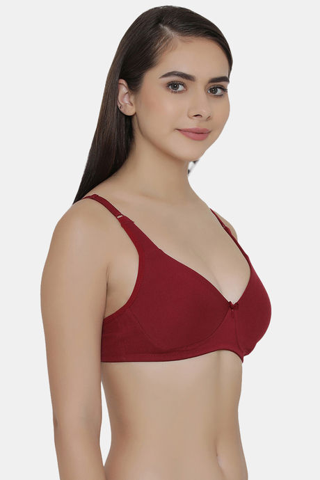 Clovia Double Layered Non Wired Full Coverage T-Shirt Bra - Maroon — image 2