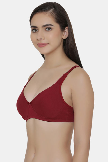 Clovia Double Layered Non Wired Full Coverage T-Shirt Bra - Maroon — image 3