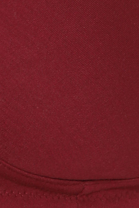 Clovia Double Layered Non Wired Full Coverage T-Shirt Bra - Maroon — image 5