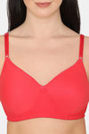 Rosaline Padded Non Wired 3/4th Coverage T-Shirt Bra - Calypso Coral — thumbnail 4