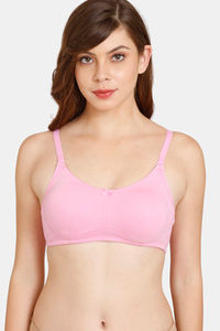 Lilac Chiffon