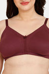 Rosaline Everyday Double Layered Non Wired Full Coverage Super Support Bra - Fig — thumbnail 4