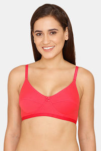 Calypso Coral