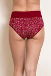 Rosaline Medium Rise Full Coverage Tummy Tucker Hipster Panty (Pack of 2) - Multicolor — thumbnail 4