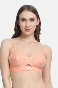 Apricot Peach