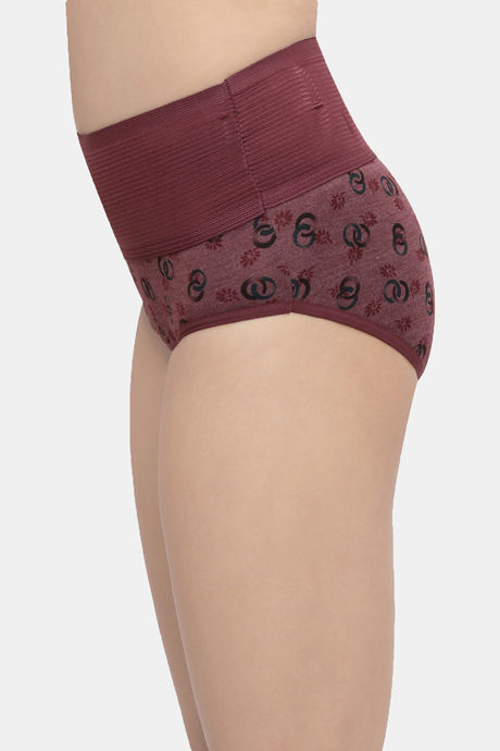 Incare High Rise Full Coverage  Tummy Tucker Hipster Panty (Pack of 3) - Multicolor — image 4