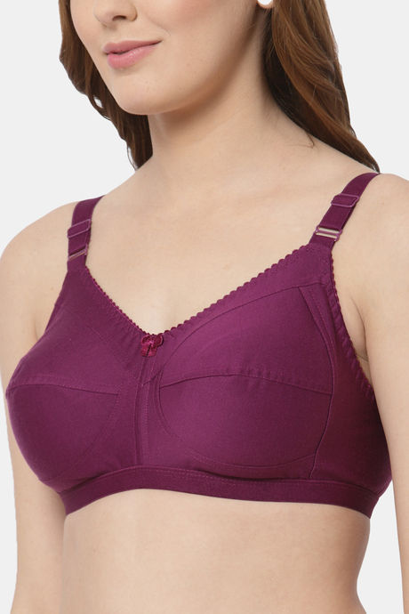 Cukoo Single Layered Non Wired Full Coverage Basic Bra - Purple — image 5
