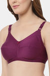 Cukoo Single Layered Non Wired Full Coverage T-Shirt Bra - Red — thumbnail 5