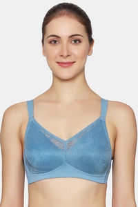 Provincial Blue