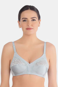 Dove Grey