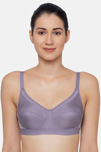 Twilight Grey