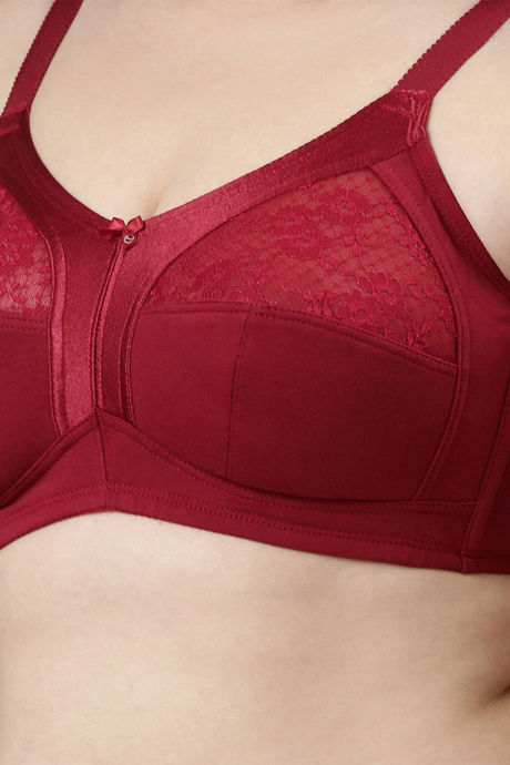 Enamor Double Layered Non Wired Full Coverage Super Support Bra - Masai — image 5