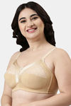 Enamor Double Layered Non Wired Full Coverage Super Support Bra - Skin — thumbnail 2