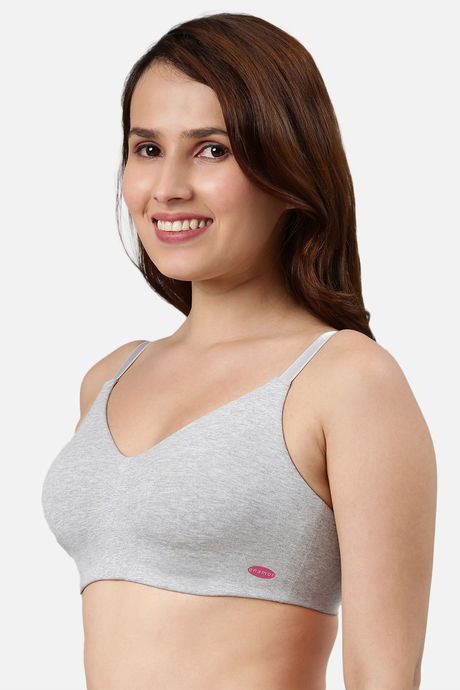Enamor Lightly Lined Non Wired Full Coverage T-Shirt Bra - Greymelange — image 2