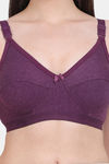 Vanila Single Layered Non-Wired Full Coverage Minimiser Bra - Purple — thumbnail 4