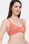 Vanila Double Layered Non-Wired Full Coverage T-Shirt Bra - Rust — thumbnail 5