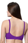 Eden Double Layered Non-Wired Full Coverage T-Shirt Bra (Pack of 2) - Multicolor — thumbnail 2