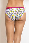 Zivame 3/4Th Coverage Bikini Panty (Pack Of 3)- Multicolor — thumbnail 4