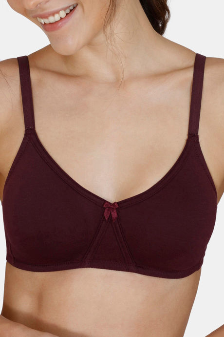 Zivame Beautiful Basics Double Layered Non Wired 3/4th Coverage T-Shirt Bra - Wine — image 4