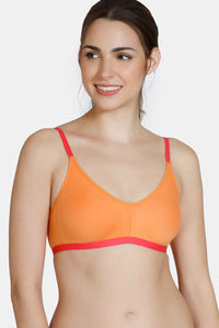 Muskmelon
