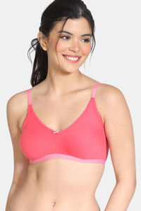 Paradise Pink