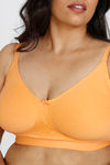 Zivame True Curv Beautiful Basics Single Layered Non Wired Full Coverage Minimiser Bra - Muskmelon — thumbnail 4
