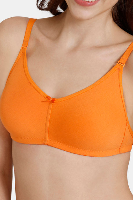Zivame Beautiful Basics Double Layered Non Wired 3/4th Coverage Backless Bra - Muskmelon — image 4