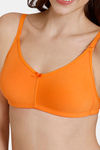 Zivame Beautiful Basics Double Layered Non Wired 3/4th Coverage Backless Bra - Muskmelon — thumbnail 4
