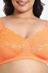 Zivame True Curv Single Layered Non Wired 3/4th Coverage Super Support Bra - Muskmelon — thumbnail 4