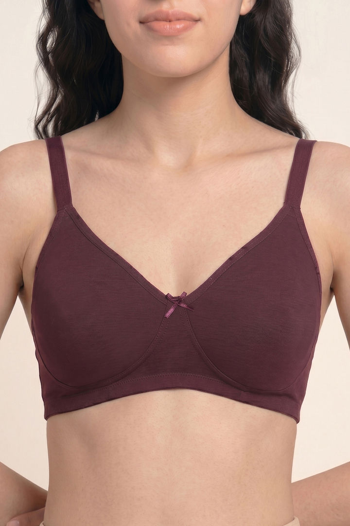 Zivame Double Layered Non Wired 3/4th Coverage Tshirt Bra - Fig — image 5